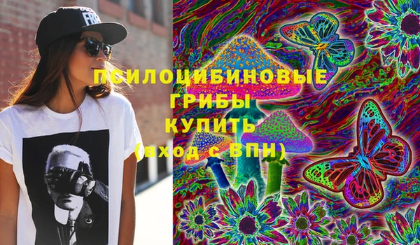 не бодяженный Алексин