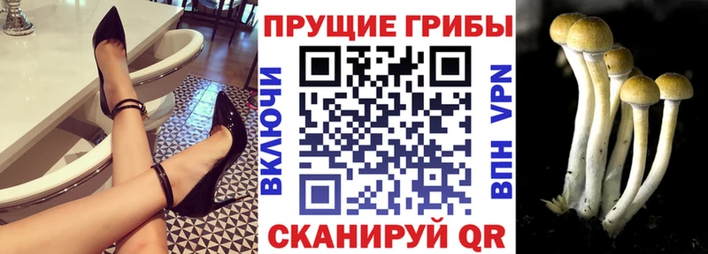 Галлюциногенные грибы прущие грибы  MEGA tor  Цивильск 